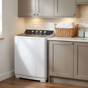 Defy 18KgTwin Tub TwinMaid Washing Machine - White
